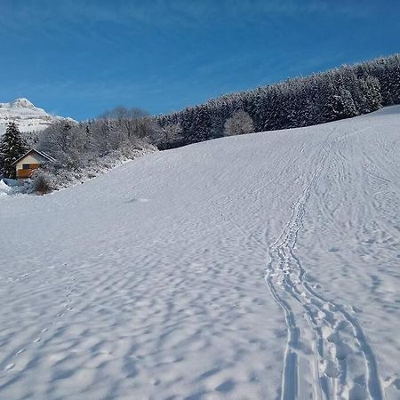 Appartement Dans Maison, A Proximite Du Village Villard-de-Lans Kültér fotó